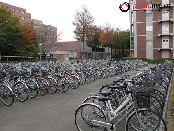 Xe đạp gấp Nhật Bản Maruishi 033TD Trục Cácđăng  Xe Đạp Gấp Papilo